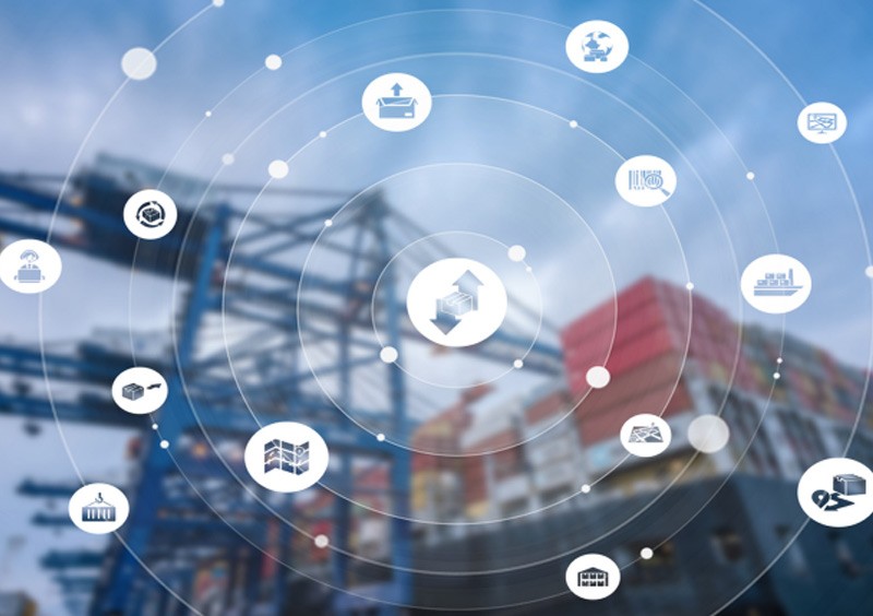 什么樣的深圳國(guó)際海運(yùn)更好